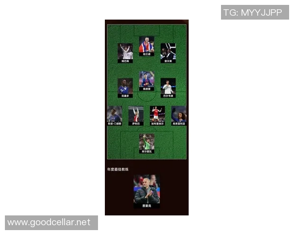 足球明星阿维罗斯的职业生涯与成就全景解析