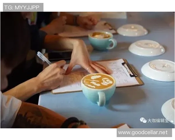 布鲁日与威尔郡的精彩对决赛果揭晓，比赛亮点回顾与分析